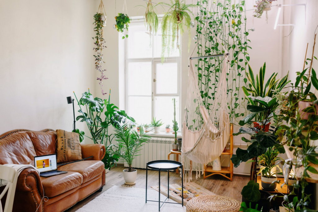 Home makeover ideas with indoor garden